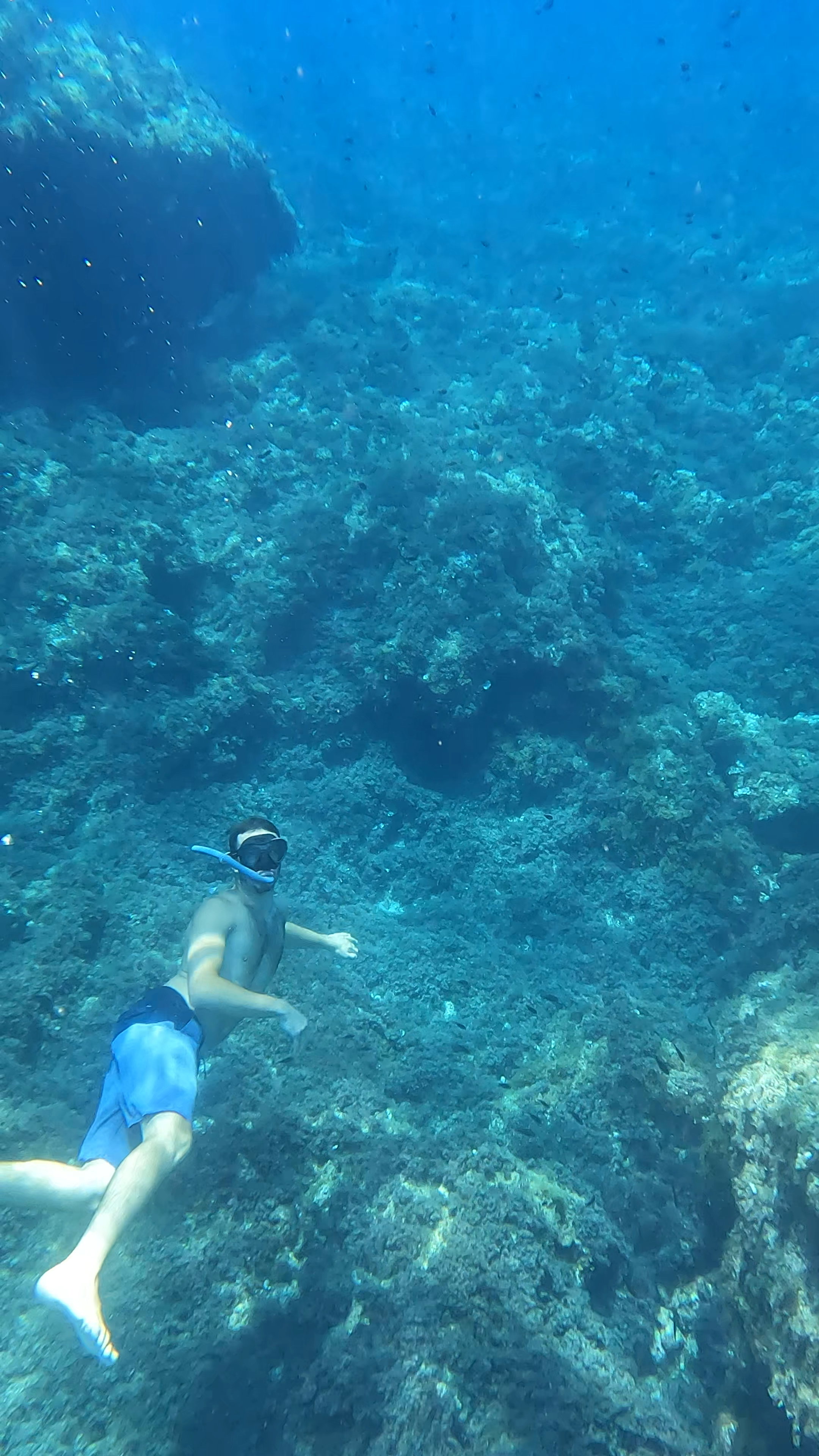 Soller Ana thumbnail 10